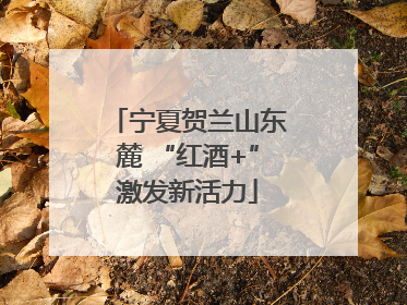 宁夏贺兰山东麓 “红酒+”激发新活力