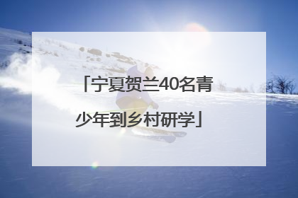 宁夏贺兰40名青少年到乡村研学