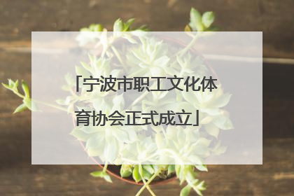 宁波市职工文化体育协会正式成立
