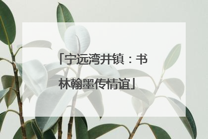 宁远湾井镇：书林翰墨传情谊