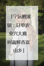 宁远鲤溪镇：订单农业兴大观 时蔬鲜香富山乡