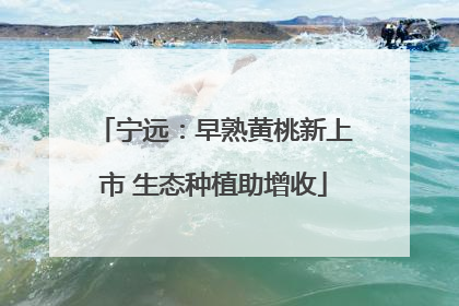 宁远：早熟黄桃新上市 生态种植助增收
