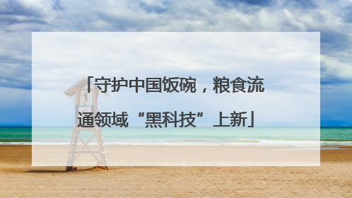 守护中国饭碗，粮食流通领域“黑科技”上新