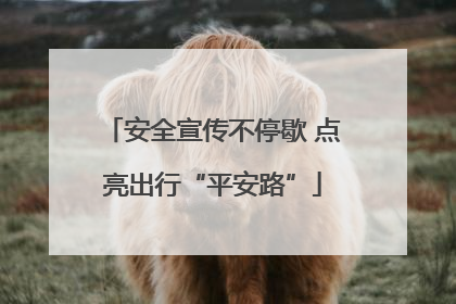 安全宣传不停歇 点亮出行“平安路”