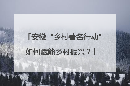安徽“乡村著名行动”如何赋能乡村振兴？