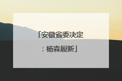 安徽省委决定：杨森履新