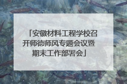 安徽材料工程学校召开师德师风专题会议暨期末工作部署会
