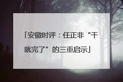 安徽时评：任正非“干就完了”的三重启示