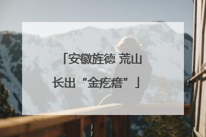 安徽旌德 荒山长出“金疙瘩”