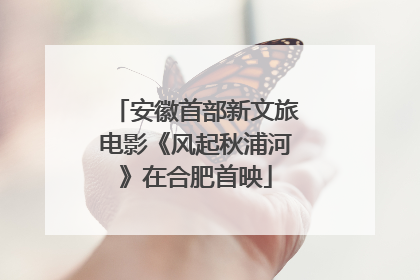 安徽首部新文旅电影《风起秋浦河》在合肥首映