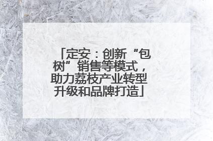 定安：创新“包树”销售等模式，助力荔枝产业转型升级和品牌打造