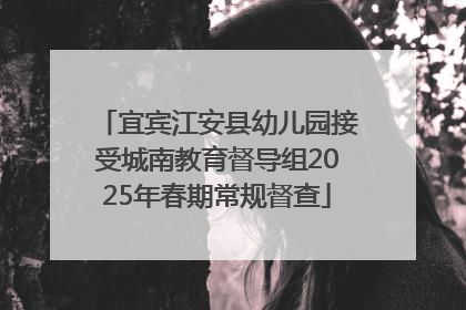 宜宾江安县幼儿园接受城南教育督导组2025年春期常规督查