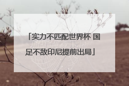 实力不匹配世界杯 国足不敌印尼提前出局