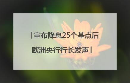宣布降息25个基点后 欧洲央行行长发声