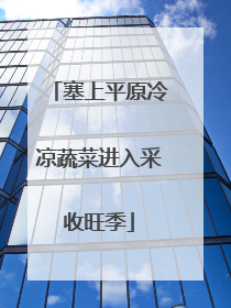 塞上平原冷凉蔬菜进入采收旺季