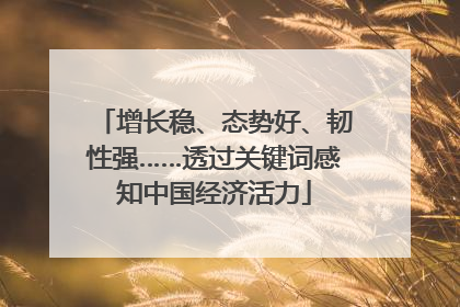 增长稳、态势好、韧性强……透过关键词感知中国经济活力