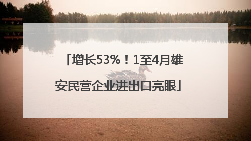 增长53%！1至4月雄安民营企业进出口亮眼