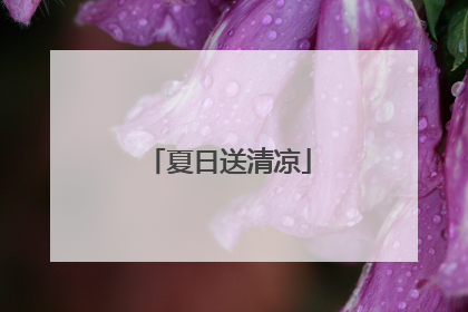 夏日送清凉