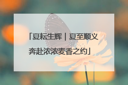 夏耘生辉｜夏至顺义奔赴浓浓麦香之约
