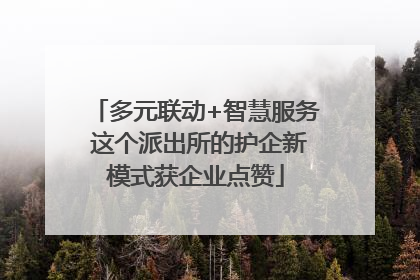 多元联动+智慧服务 这个派出所的护企新模式获企业点赞