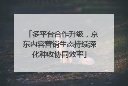 多平台合作升级，京东内容营销生态持续深化种收协同效率