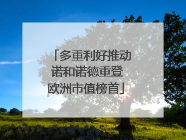 多重利好推动 诺和诺德重登欧洲市值榜首