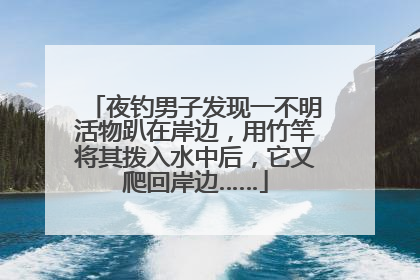 夜钓男子发现一不明活物趴在岸边，用竹竿将其拨入水中后，它又爬回岸边……