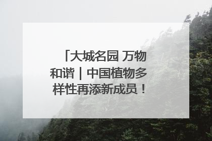 大城名园 万物和谐｜中国植物多样性再添新成员！它只在西藏墨脱