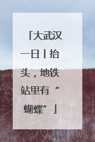 大武汉一日丨抬头，地铁站里有“蝴蝶”