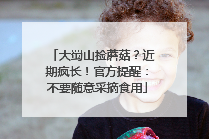 大蜀山捡蘑菇？近期疯长！官方提醒：不要随意采摘食用