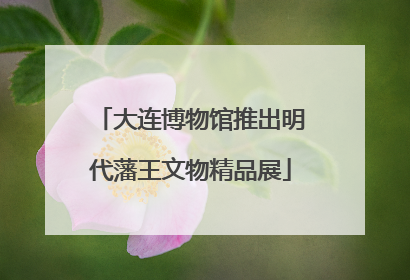 大连博物馆推出明代藩王文物精品展