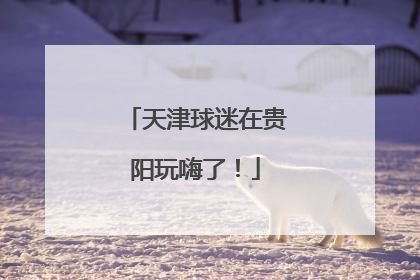 天津球迷在贵阳玩嗨了！