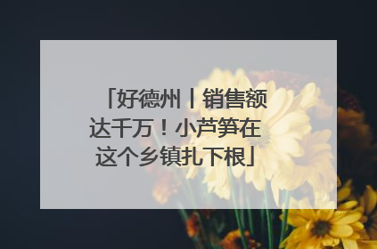 好德州丨销售额达千万！小芦笋在这个乡镇扎下根