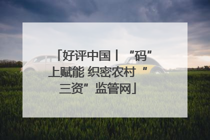 好评中国丨“码”上赋能 织密农村“三资”监管网