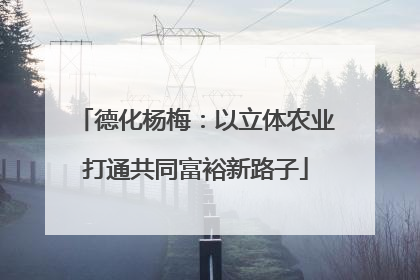 德化杨梅：以立体农业打通共同富裕新路子