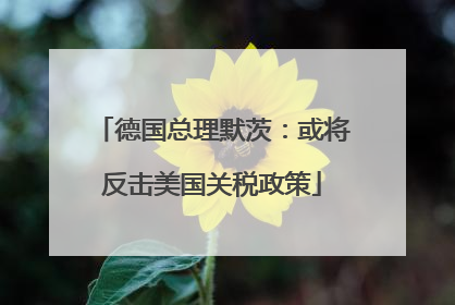 德国总理默茨：或将反击美国关税政策