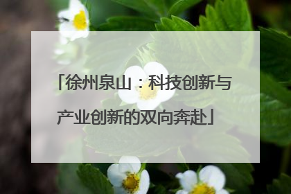 徐州泉山：科技创新与产业创新的双向奔赴