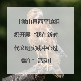 微山县西平镇组织开展“我在新时代文明实践中心过端午”活动