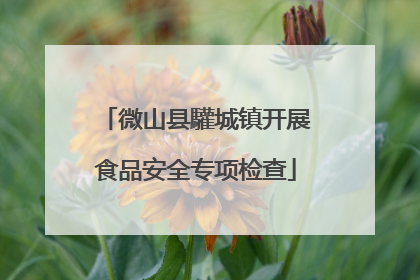 微山县驩城镇开展食品安全专项检查