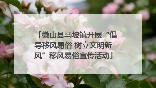 微山县马坡镇开展“倡导移风易俗 树立文明新风”移风易俗宣传活动