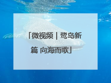微视频｜鹭岛新篇 向海而歌