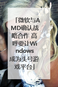 微软与AMD确认战略合作 高呼要让Windows成为头号游戏平台