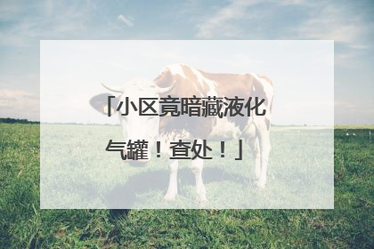 小区竟暗藏液化气罐！查处！