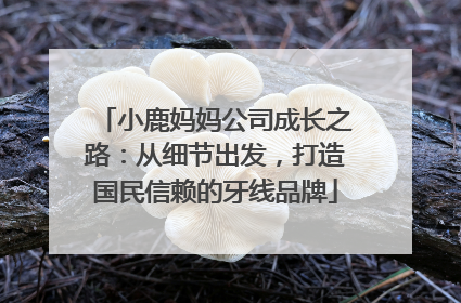 小鹿妈妈公司成长之路：从细节出发，打造国民信赖的牙线品牌