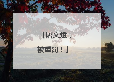 屠文斌，被重罚！