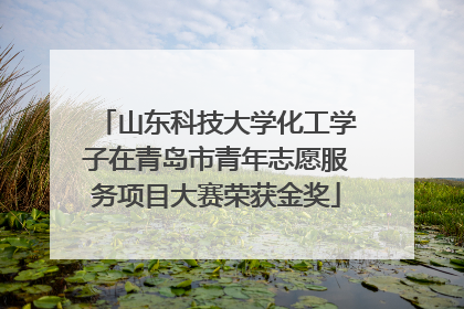山东科技大学化工学子在青岛市青年志愿服务项目大赛荣获金奖