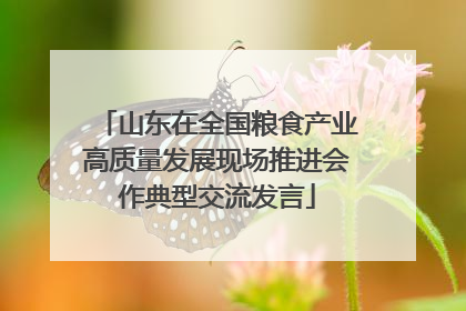山东在全国粮食产业高质量发展现场推进会作典型交流发言