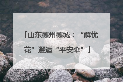 山东德州德城：“解忧花”邂逅“平安伞”