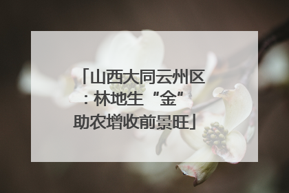 山西大同云州区：林地生“金” 助农增收前景旺