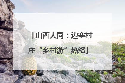 山西大同：边塞村庄“乡村游”热络